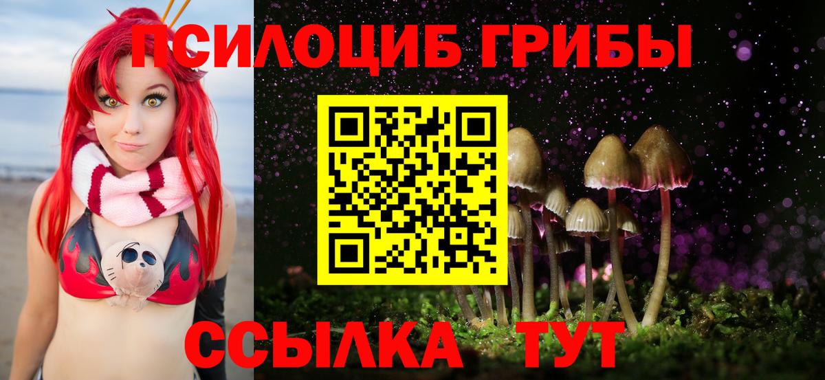 Галлюциногенные грибы Psilocybine cubensis Беслан