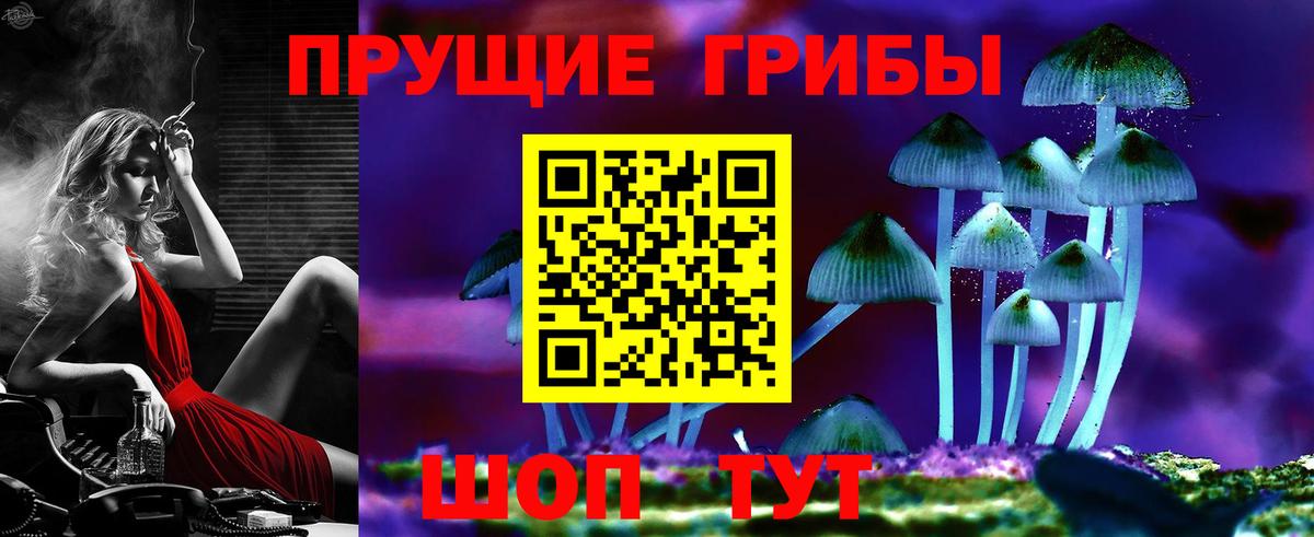 Галлюциногенные грибы Psilocybine cubensis  Вход с VPN  Беслан 
